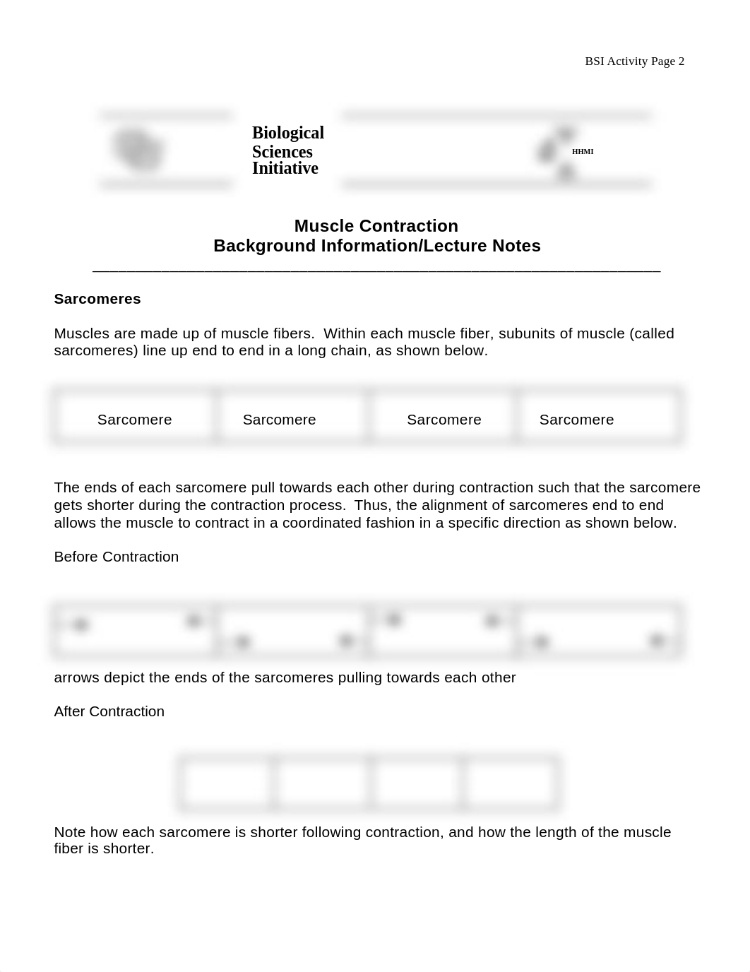 muscleContraction_dui0b47e0h0_page2