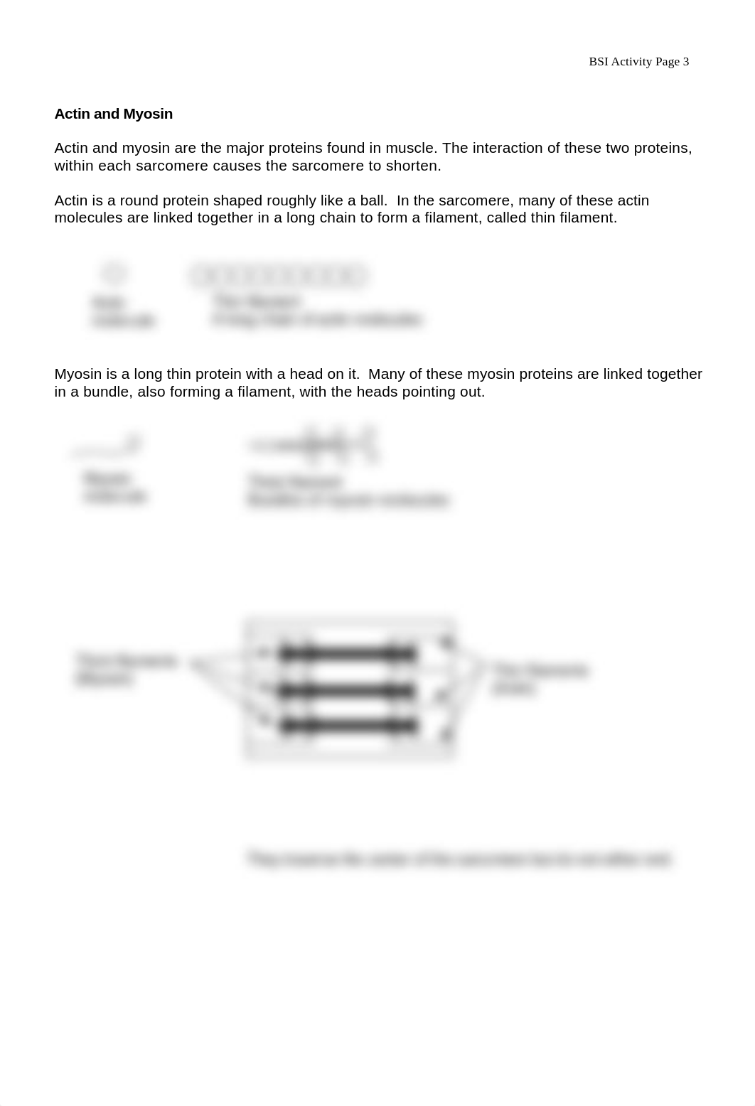 muscleContraction_dui0b47e0h0_page3