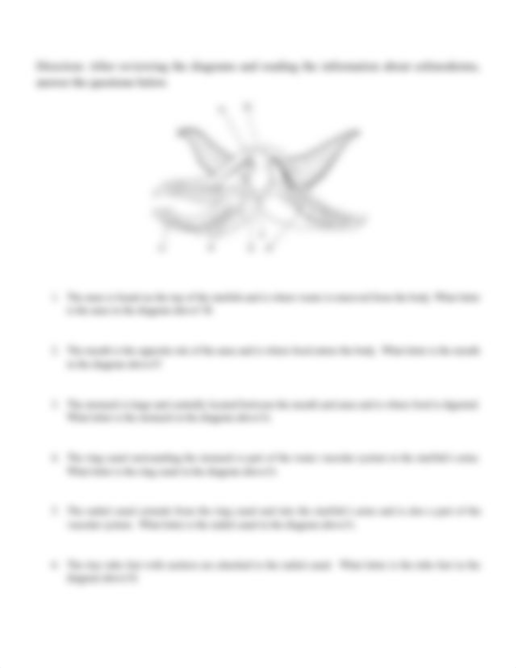 Echinoderm Intro Worksheet 2020-2021.docx_dui3hq71ppz_page3