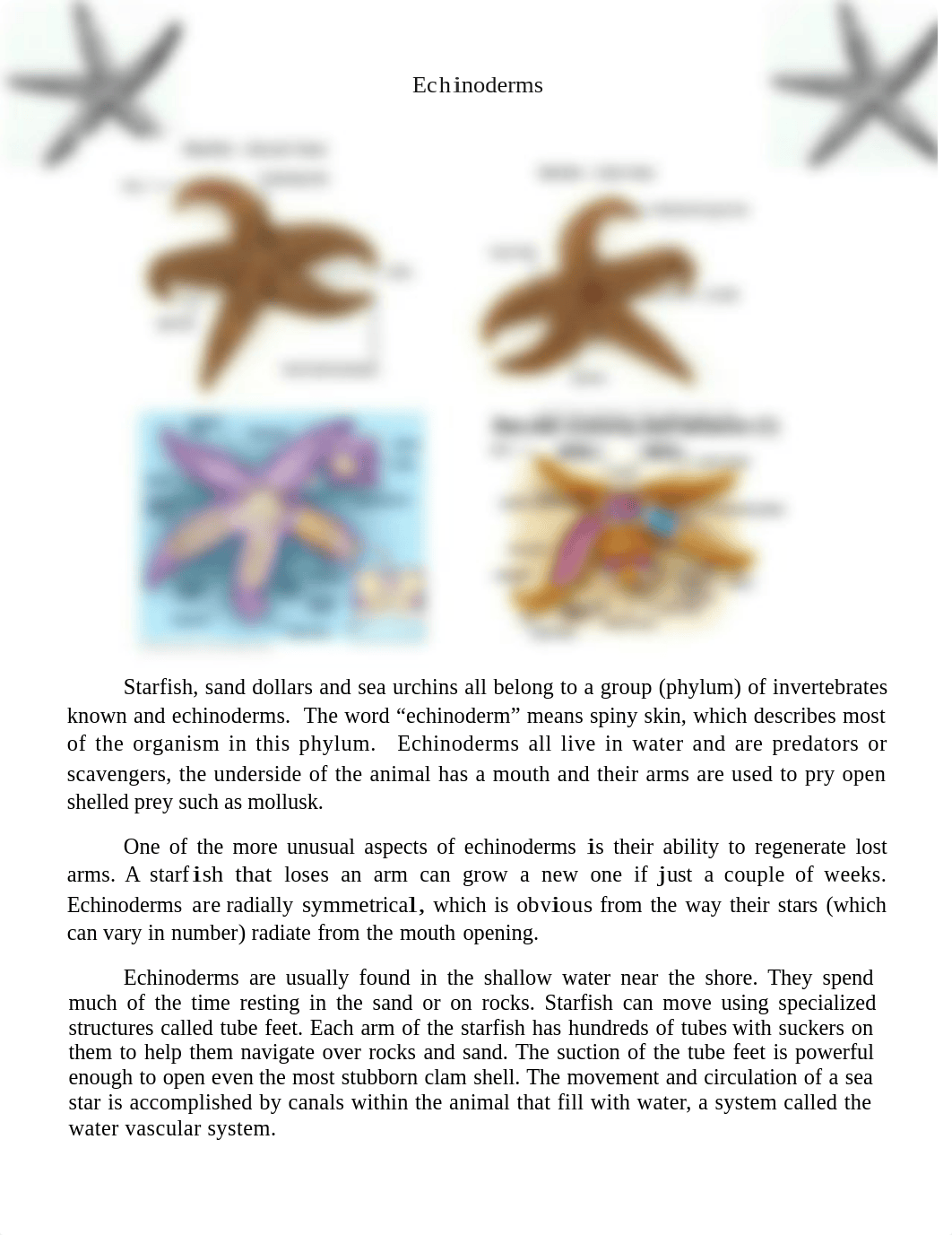 Echinoderm Intro Worksheet 2020-2021.docx_dui3hq71ppz_page1