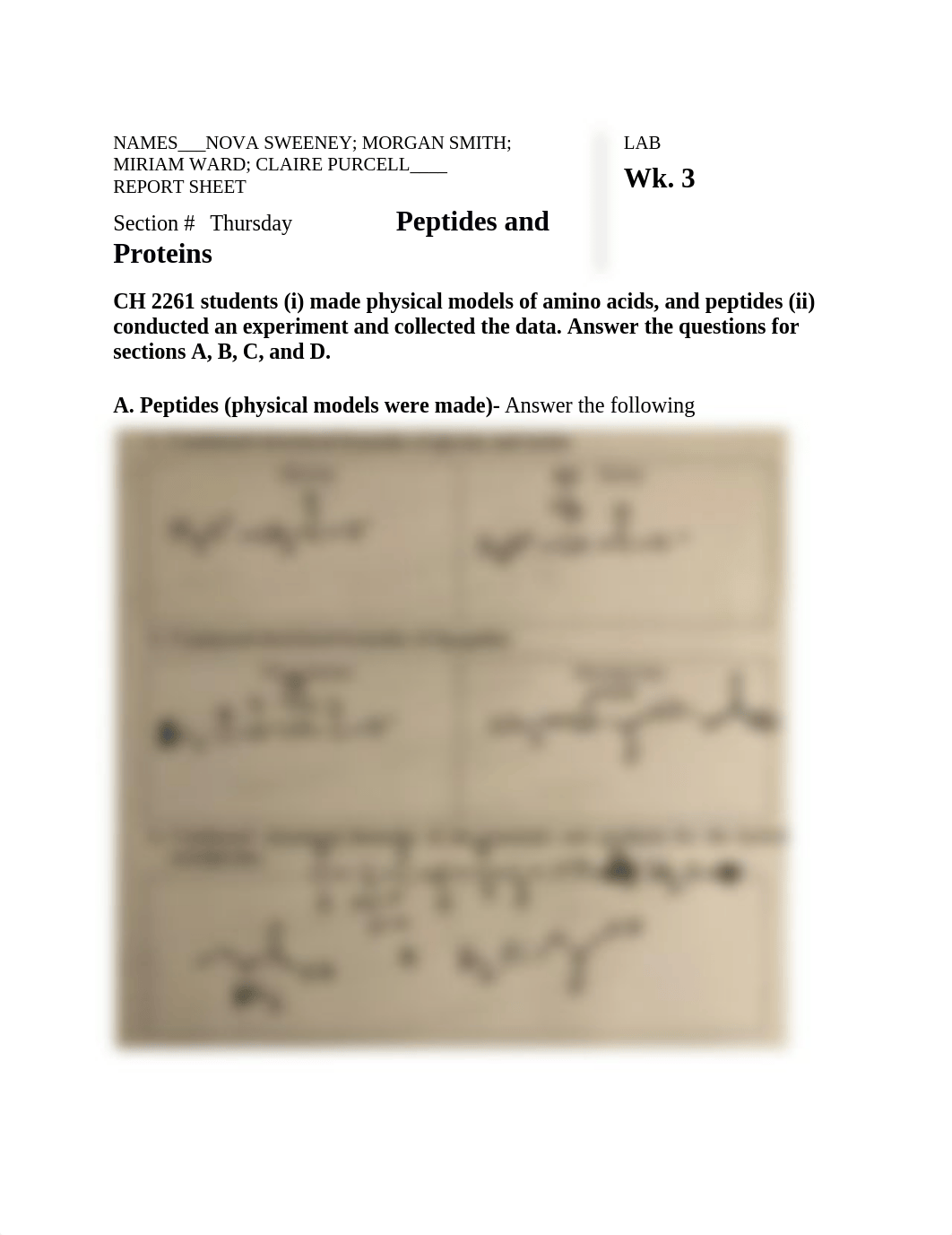 Wk 2 Peptides & Proteins- Report sheet (Online Format) (1).docx_dui8dteersr_page1