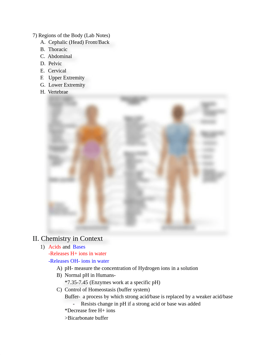 FALL 2019 Anatomy & Physiology Final Exam Study Guide_duiafmc2m21_page3