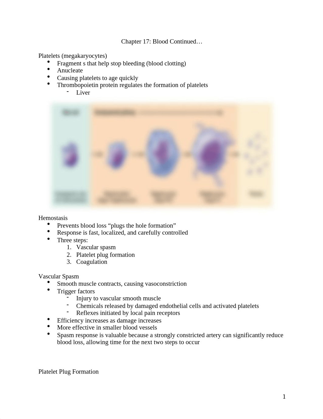 Test 2 Notes.docx_duiagz8j6ea_page1