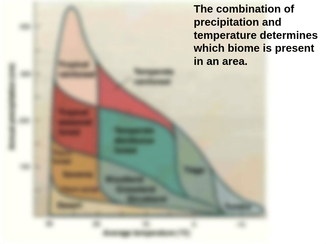 Biomes Tundra_duict5du7s2_page5