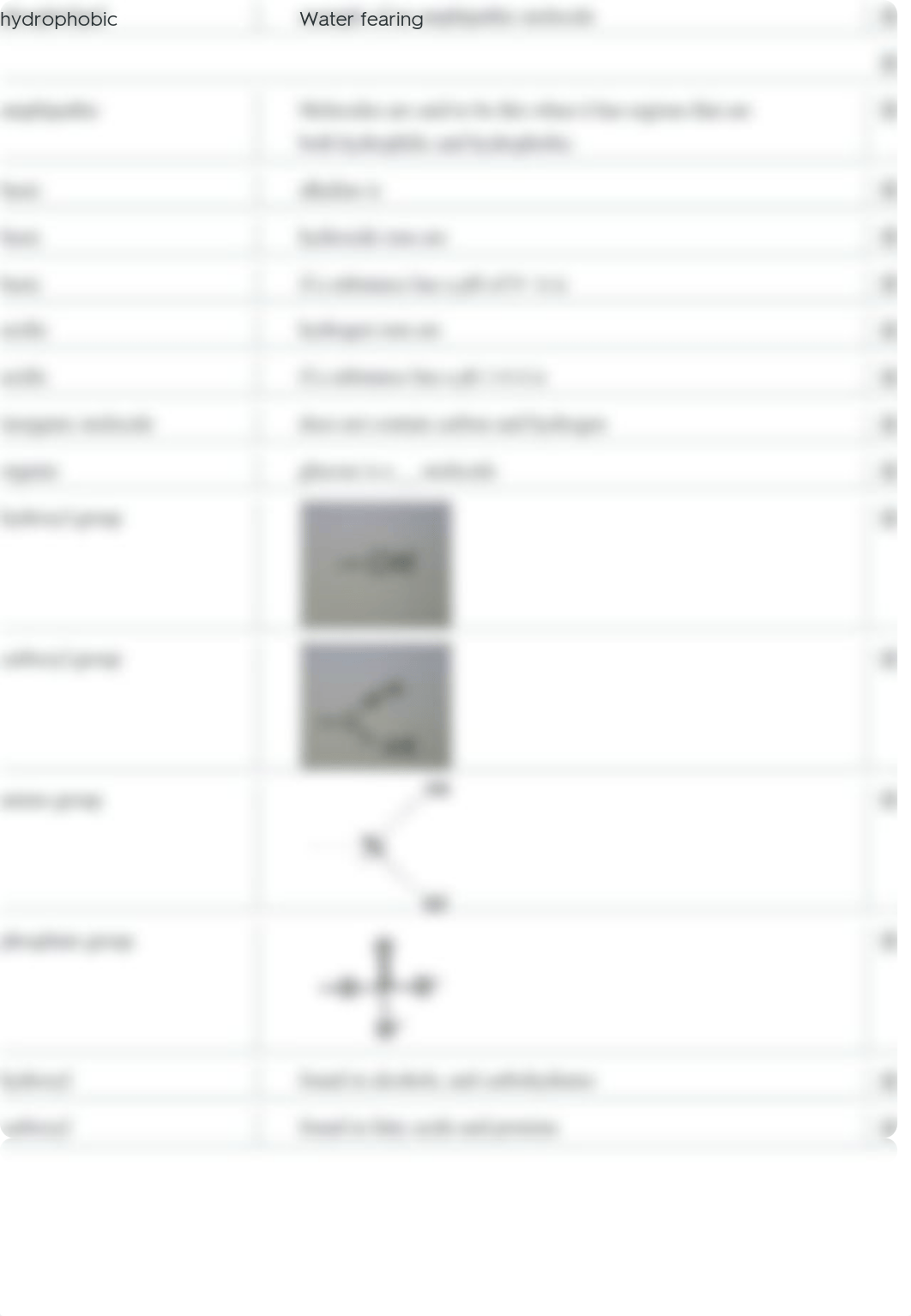 Microbiology chapter 2 study guide Flashcards | Quizlet.pdf_duidc0sruts_page3