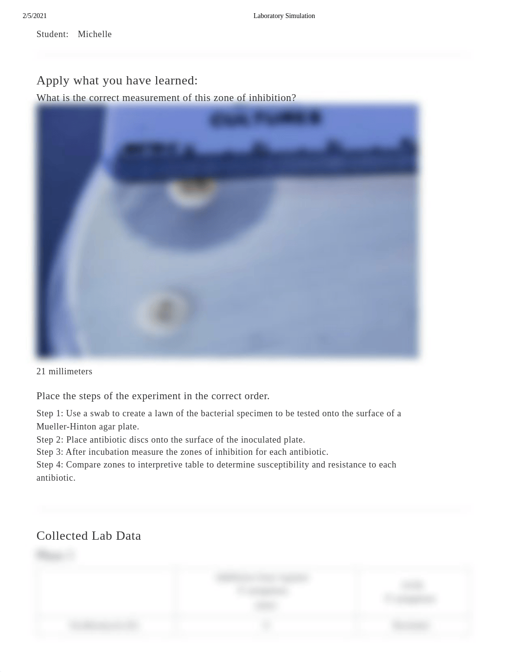 Control of Microbial Growth - Antimicrobic Sensitivity Testing (Kirby-Bauer Method).pdf_duifd56l7b5_page1