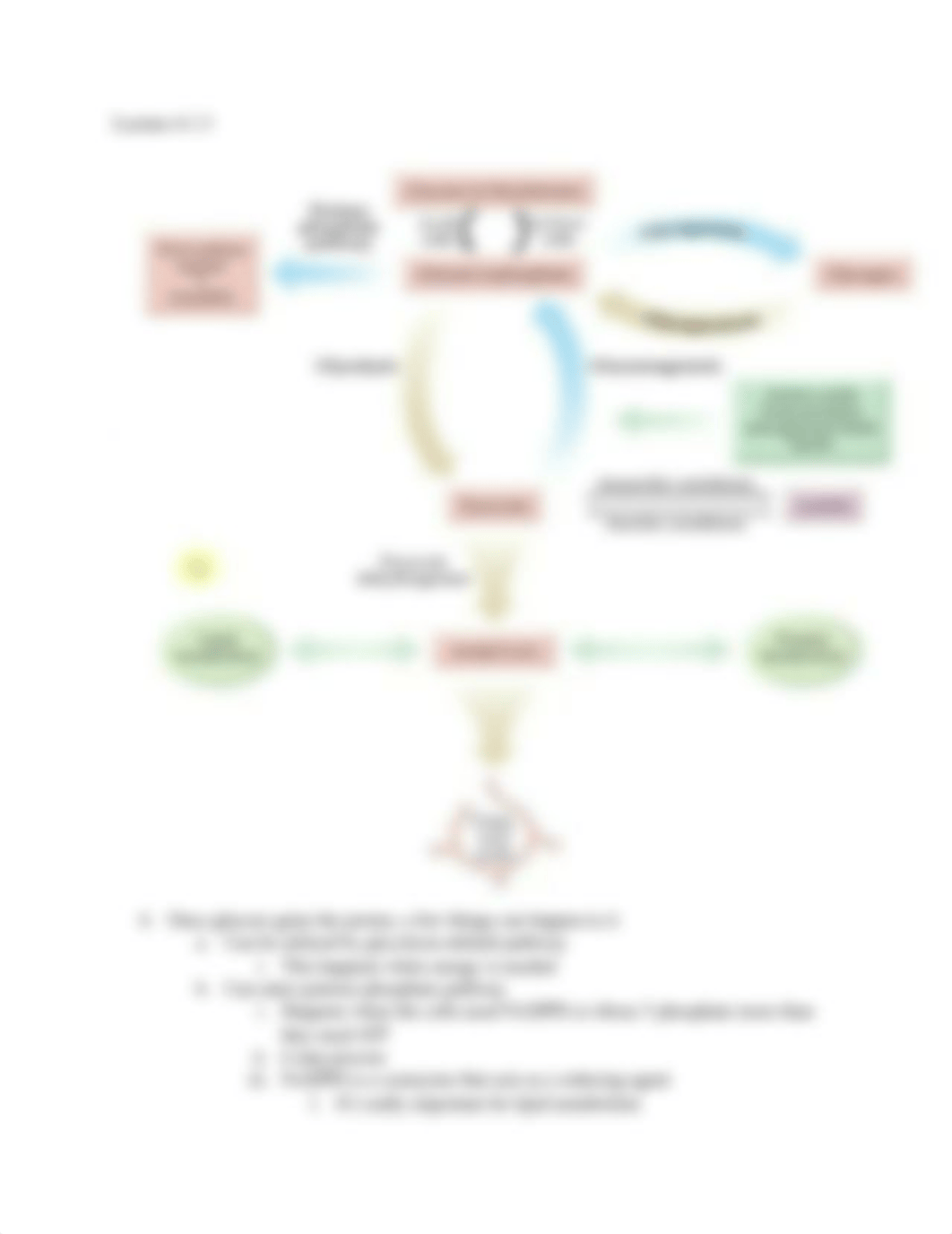 Week 4 biochem.docx_duigxc4io3y_page3