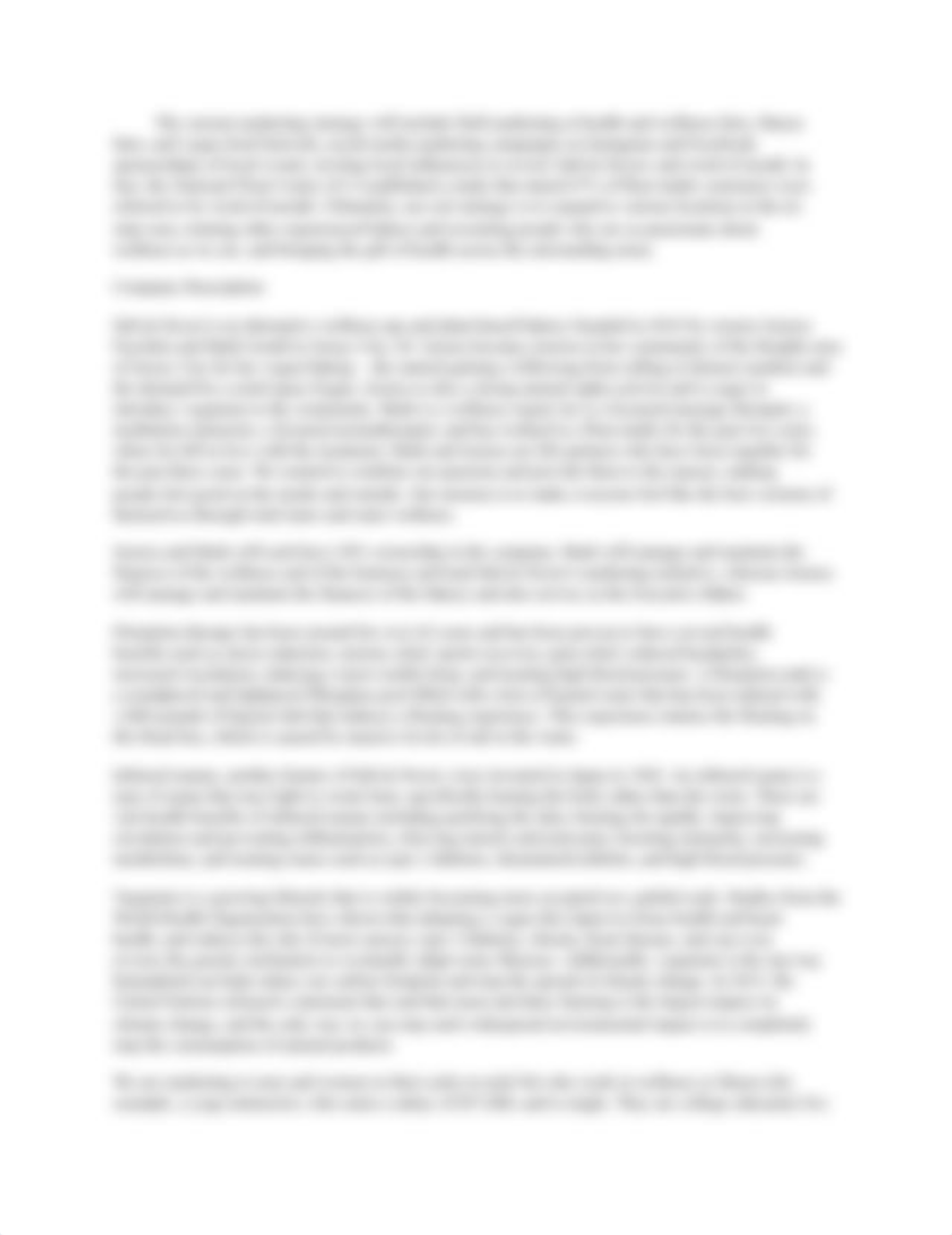 Business Plan- Executive Summary and Company Description.docx_duiikhz2v48_page2