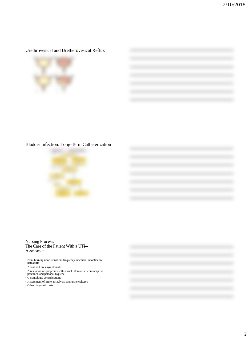 NU 222 SPRING 2018 Management of Patients With Urinary Disorders.pdf_duiiyp4153v_page2