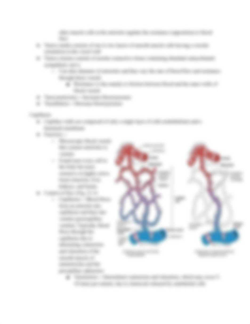 Anatomy & Physiology II Exam 2 Study Guide.docx_duip87ub1m4_page4