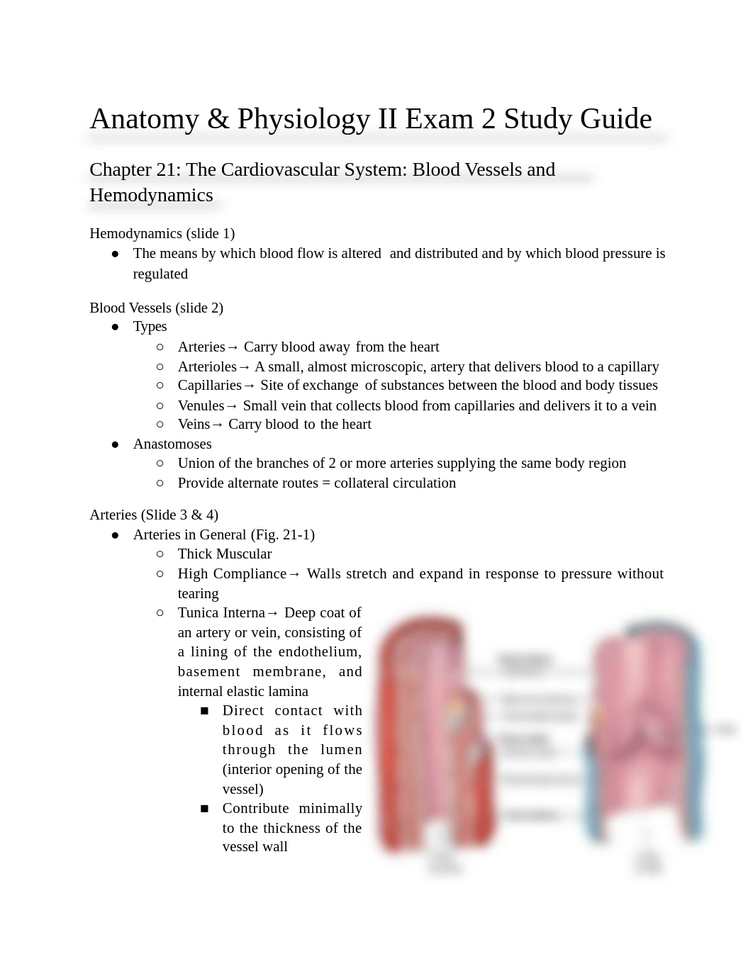 Anatomy & Physiology II Exam 2 Study Guide.docx_duip87ub1m4_page1