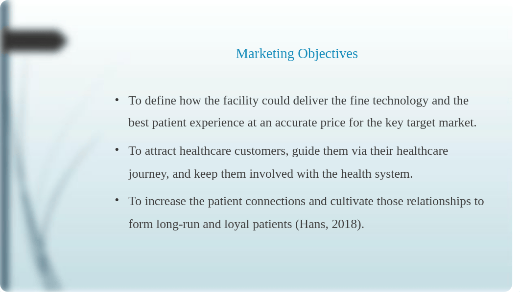 Healthcare Strategic Marketing Plan.pptx_duipxovib22_page4