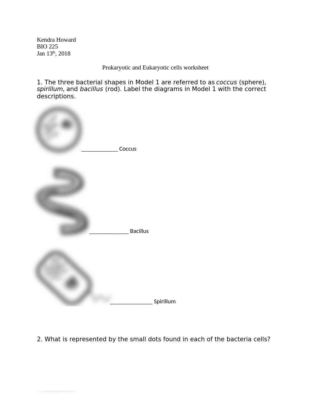 Prokaryotic and eukaryotic worksheet.docx_duisy598lj2_page1