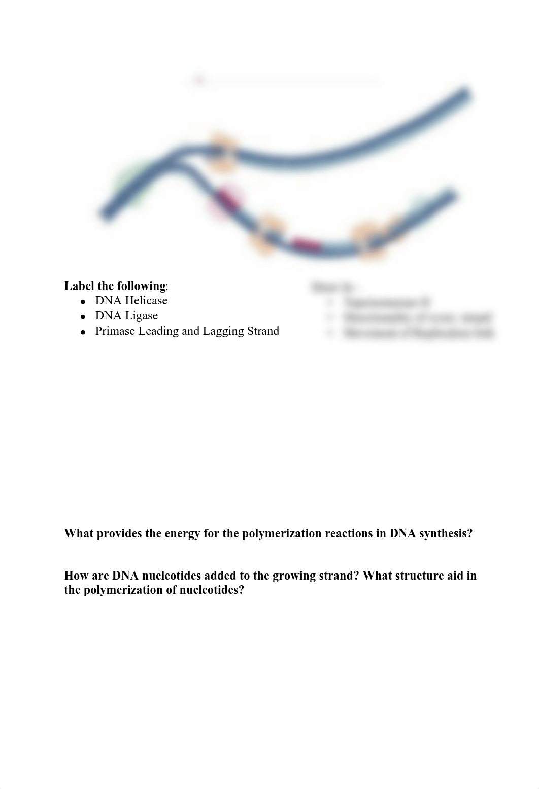 Exam 2 Review -1.pdf_duiwabjnasq_page2