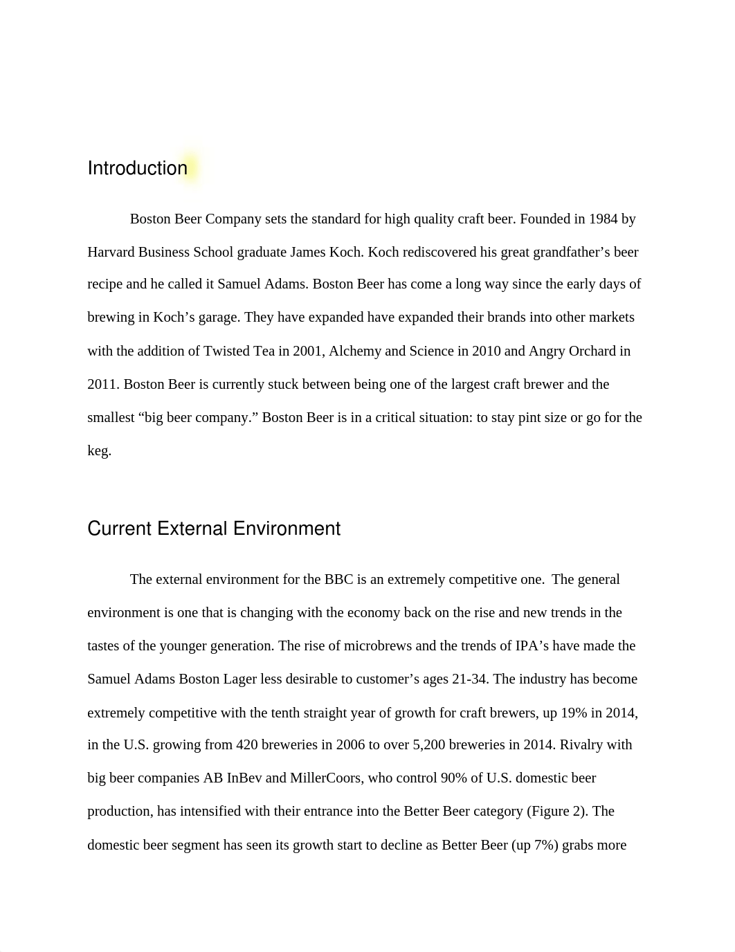 BUSA 499 CapstoneFinalPaper-3_duix1socpv7_page2