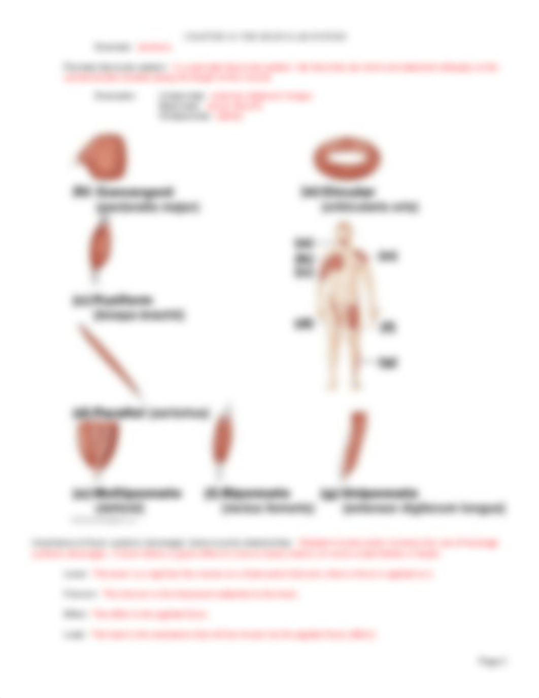 Ch. 10 Lecture Outline.docx_duj1utjmvsb_page2