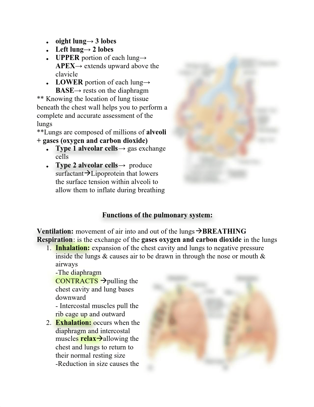 Oxygenation.pdf_duj2nd3tv7b_page2