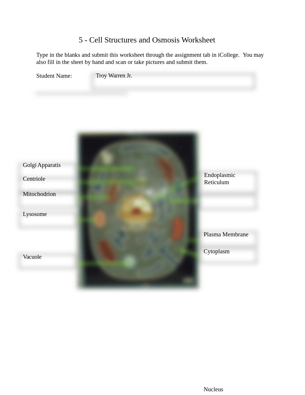 5-Cell Structure and Osmosis Worksheet (1).docx_dujdzyvme5k_page1