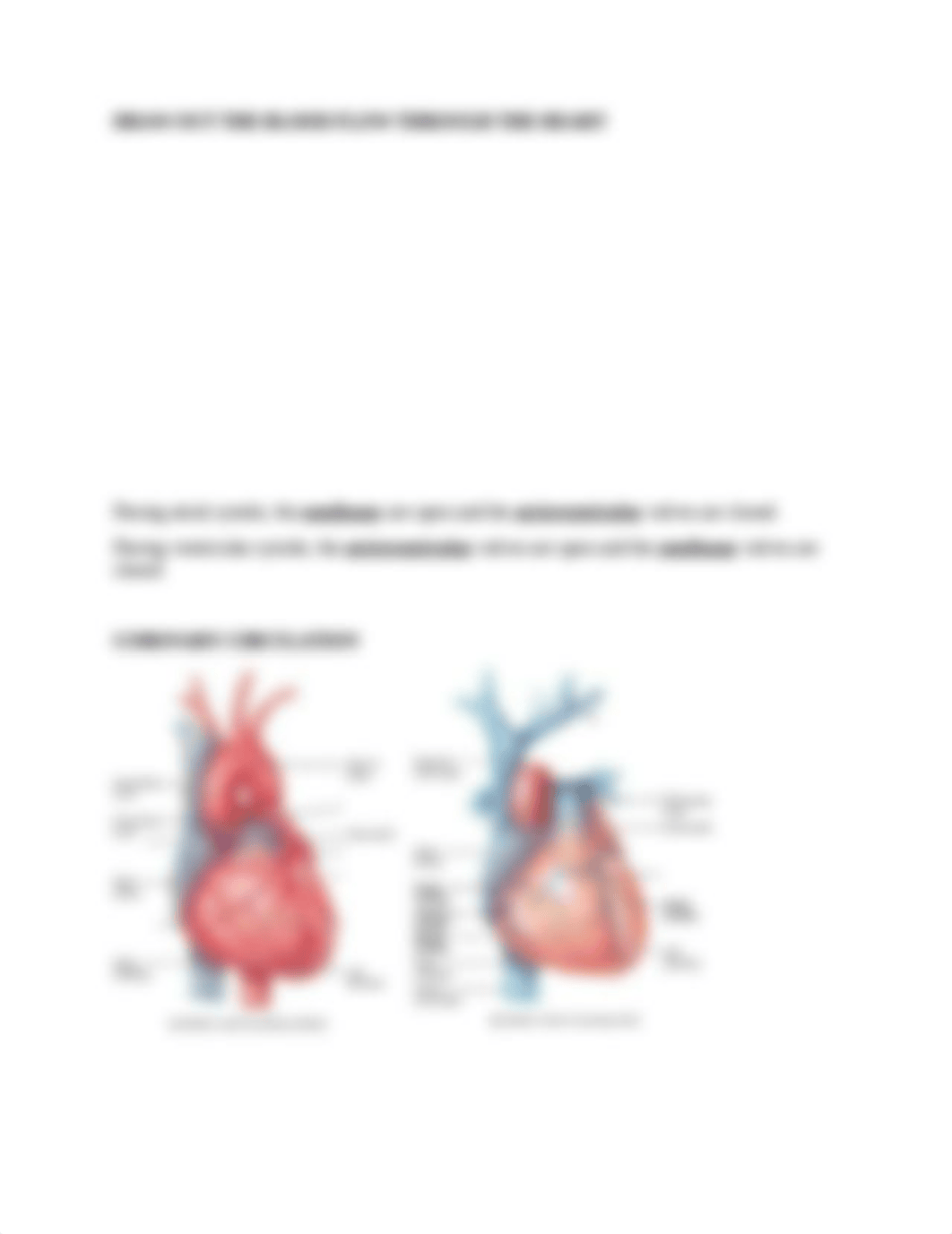 BIOS255 - CH 20 OUTLINE.docx_dujlhu16lvn_page3