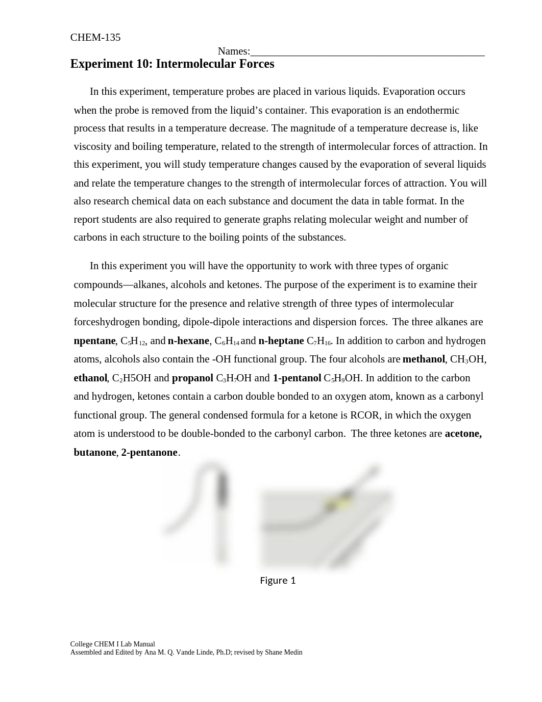 lab 13 or 14.docx_dujmz8hcst3_page1