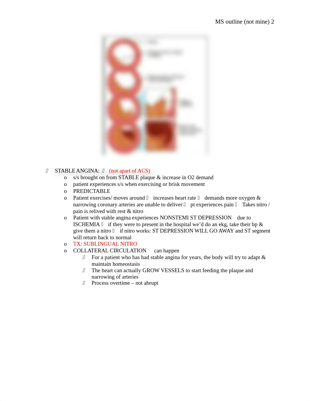 (not mine) MS Outline Exam 2 .docx_dujrfxwk1or_page2