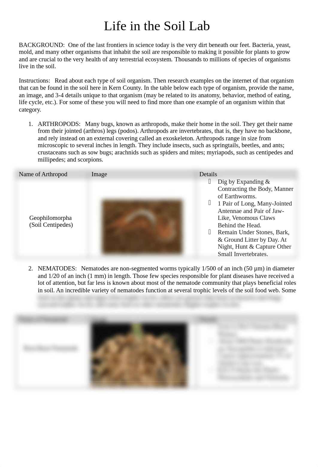 Life in the Soils Lab_online.docx_dujs8lguexh_page1