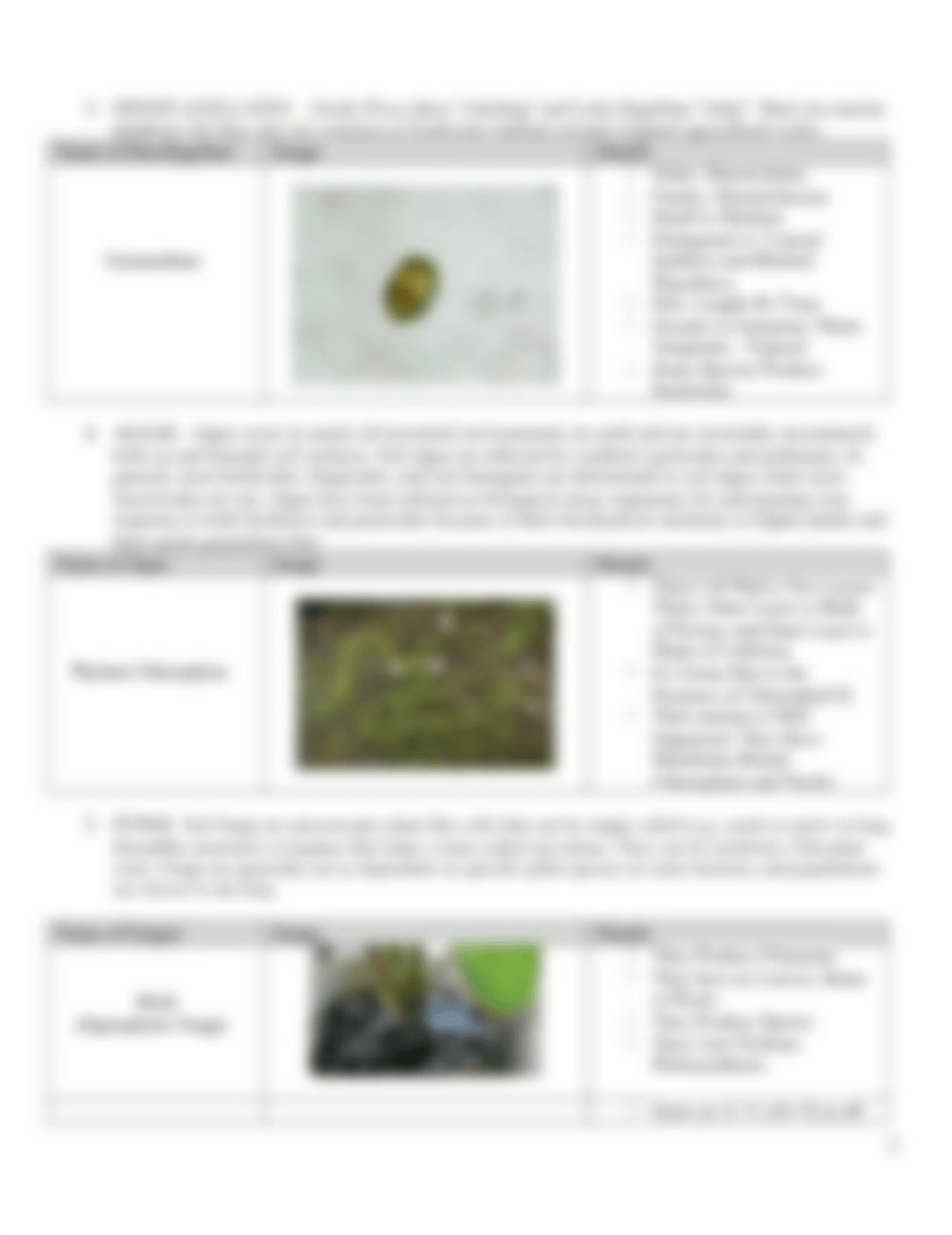 Life in the Soils Lab_online.docx_dujs8lguexh_page2