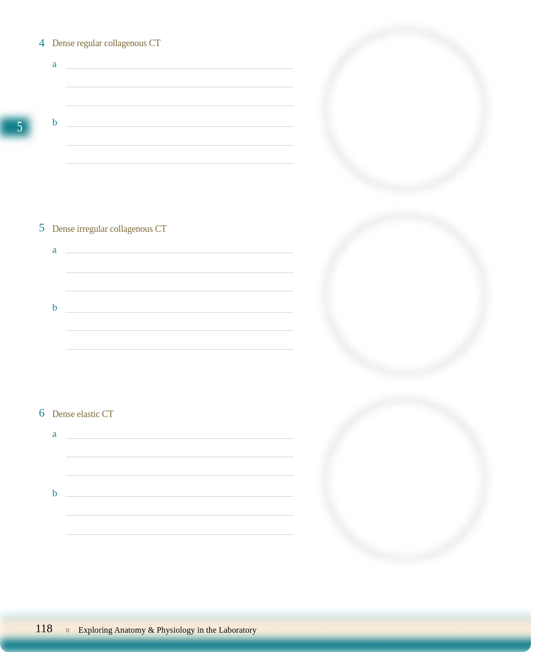 Bio241Lab2.pdf_dujsb19mouj_page5