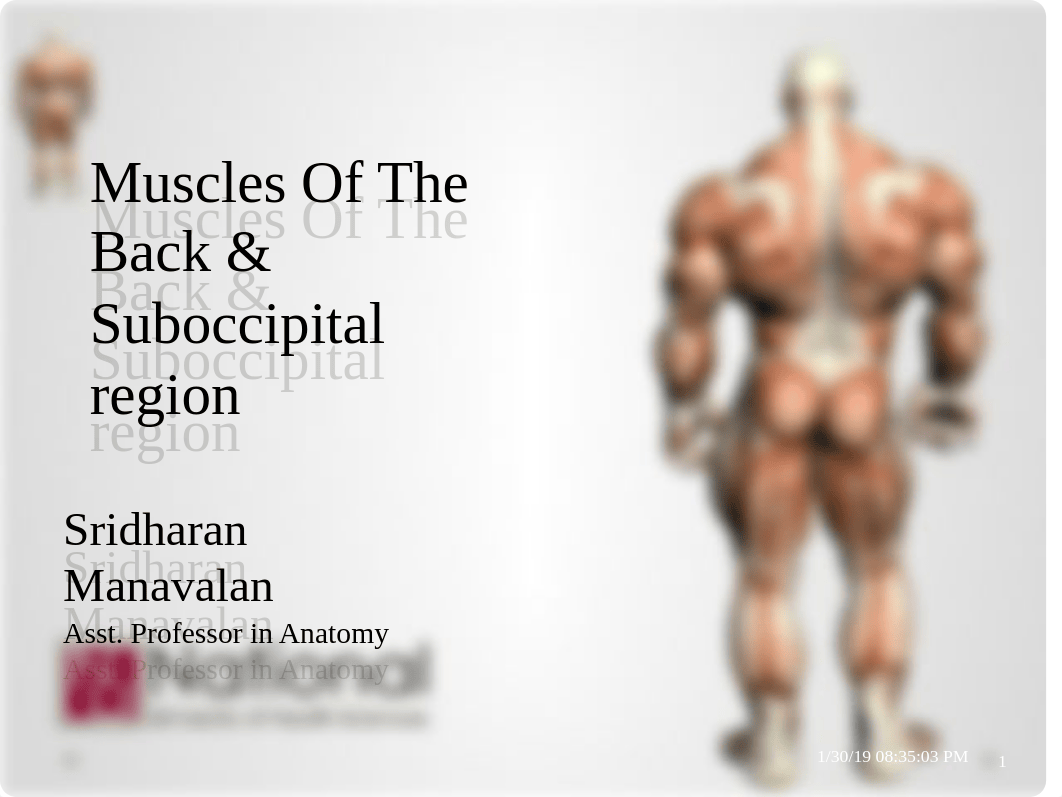 3 Muscles of the back & suboccipital triangle (3).pptx_dujx8d3wor2_page1