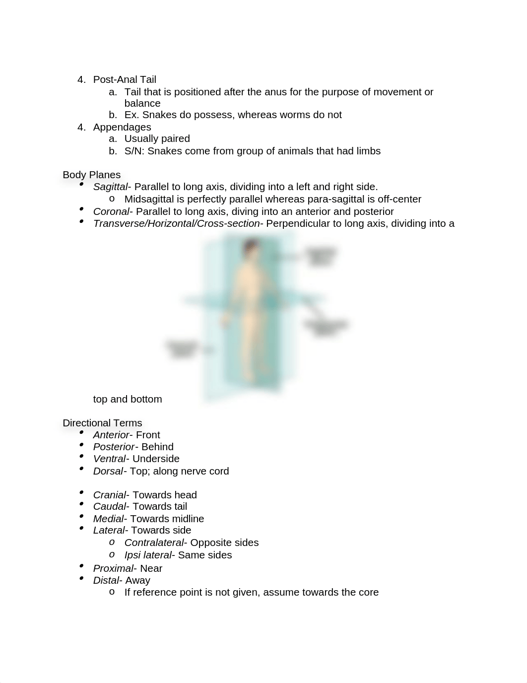 The Phylum Chordata.docx_duk4kfp3rmt_page2