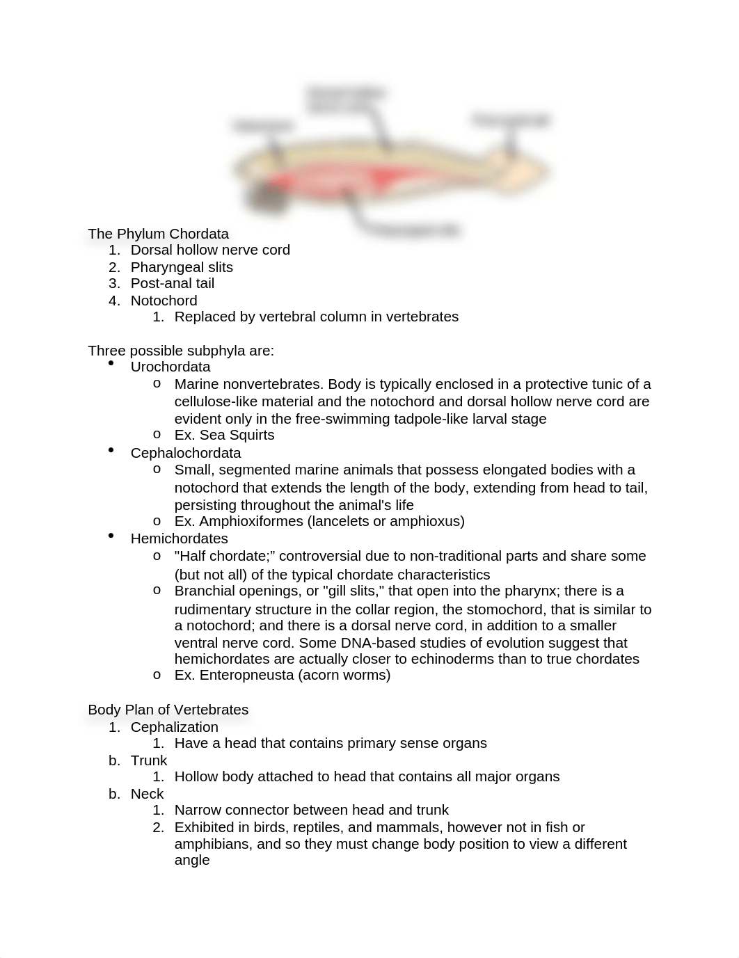 The Phylum Chordata.docx_duk4kfp3rmt_page1