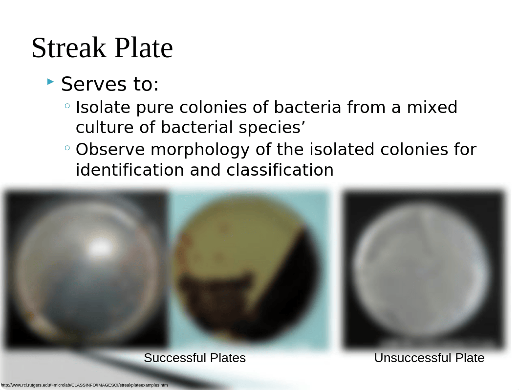 Streak-Spread Plate.pptx_duk5ysurm4t_page2