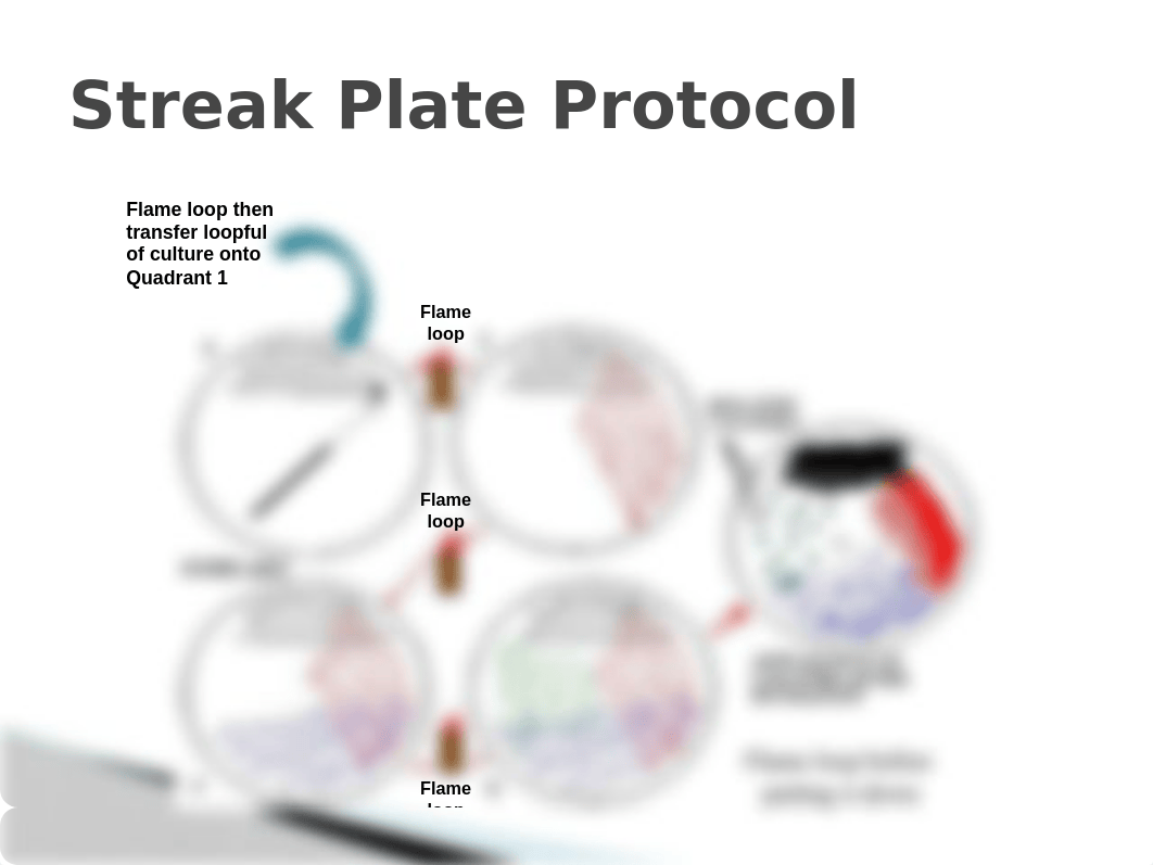 Streak-Spread Plate.pptx_duk5ysurm4t_page3