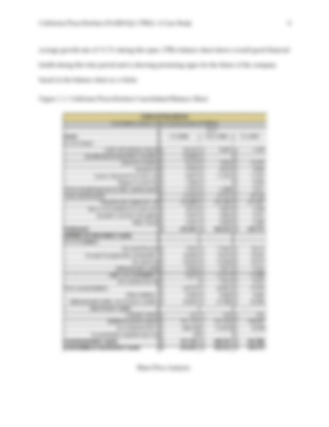 California Pizza Kitchen Case Study.docx_duk9l7aocbl_page4