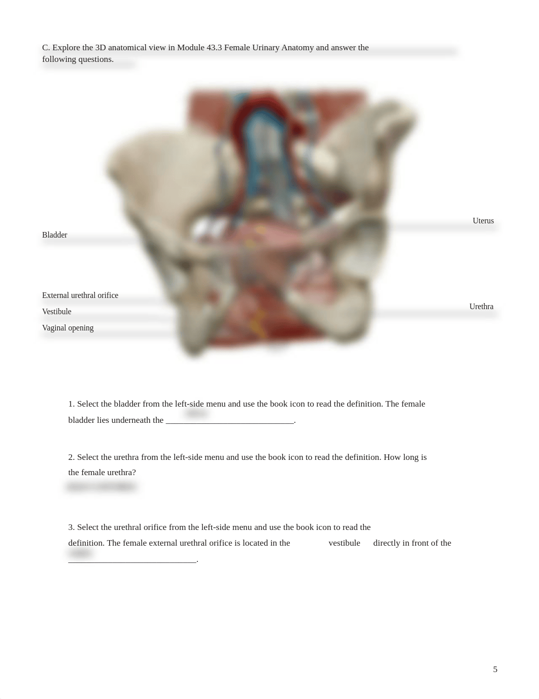 urinary lab.pdf_dukdrcg8vz2_page5