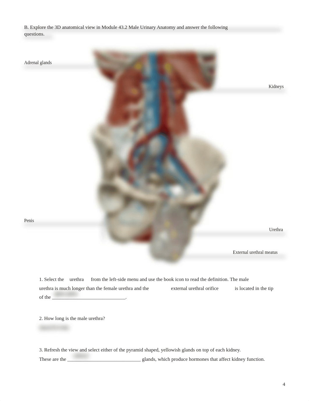 urinary lab.pdf_dukdrcg8vz2_page4