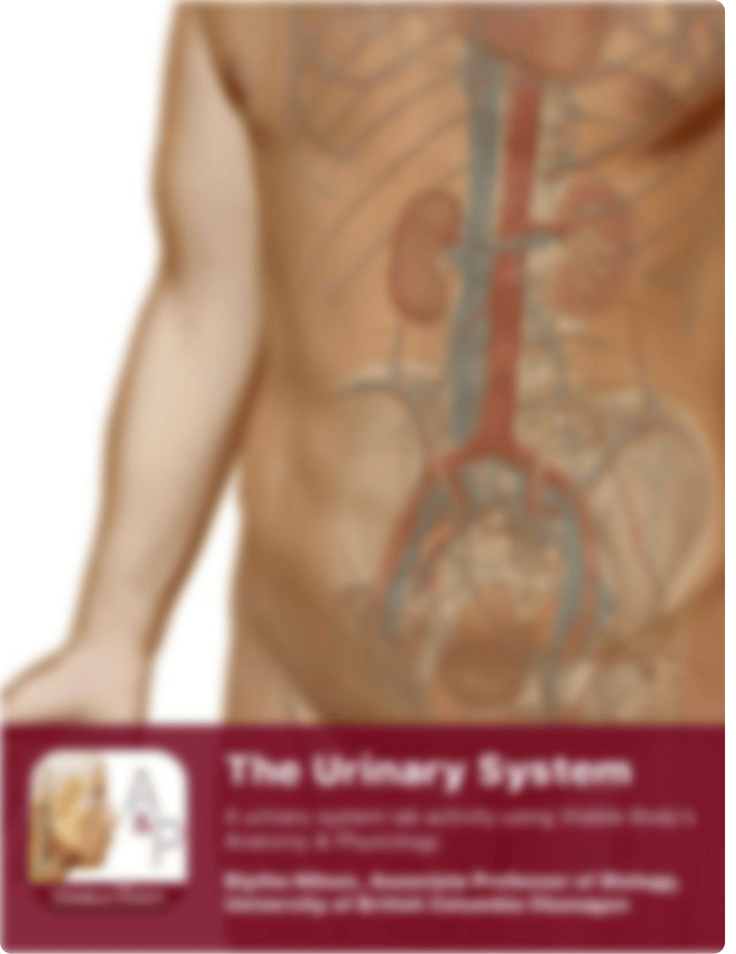 urinary lab.pdf_dukdrcg8vz2_page1