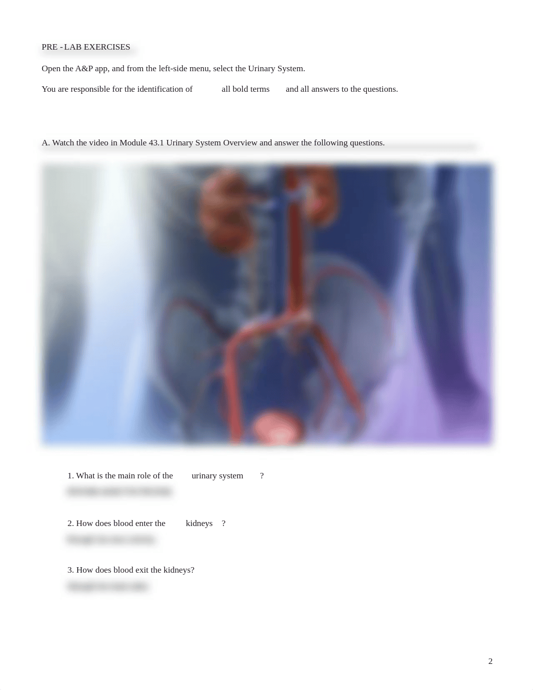 urinary lab.pdf_dukdrcg8vz2_page2