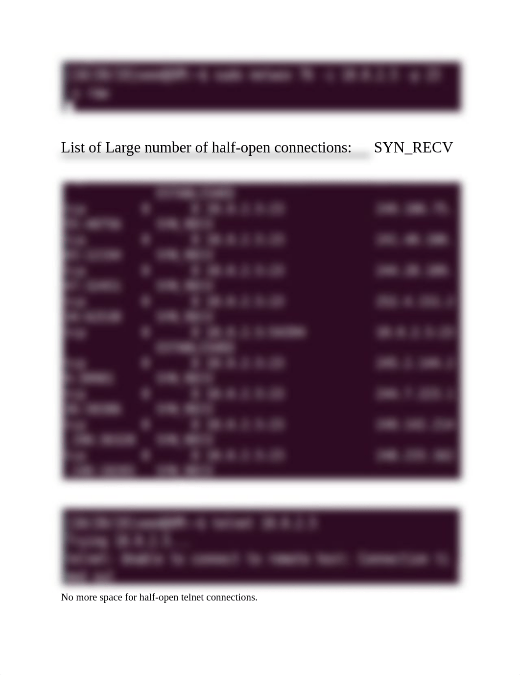 TCP.IP Attack lab.pdf_dukgxrqufdl_page3