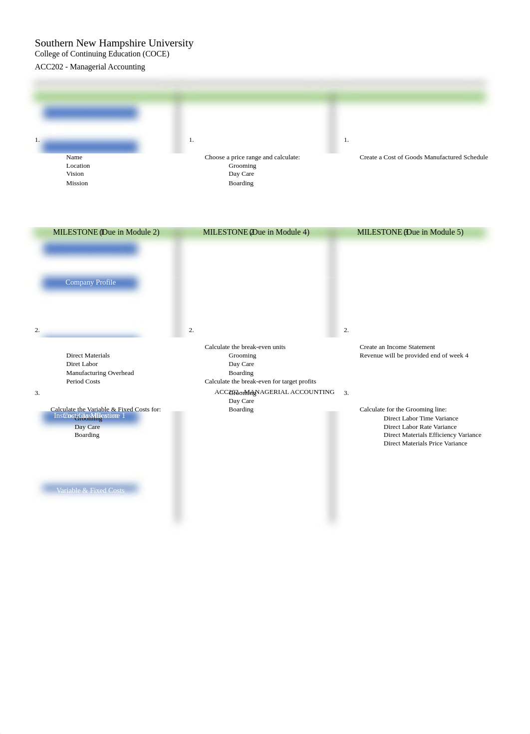 ACC 202 Final Project Workbook.xlsx_duknxskq1z5_page1