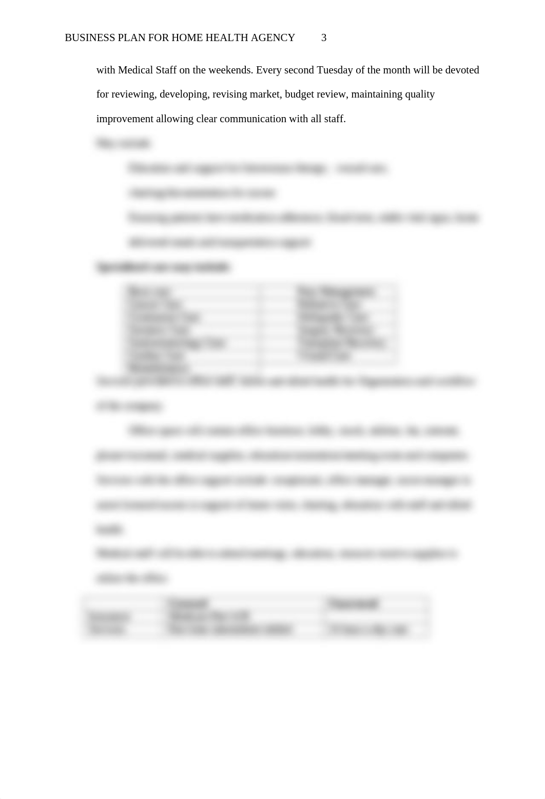 Business Plan.docx_dukplz6srww_page3