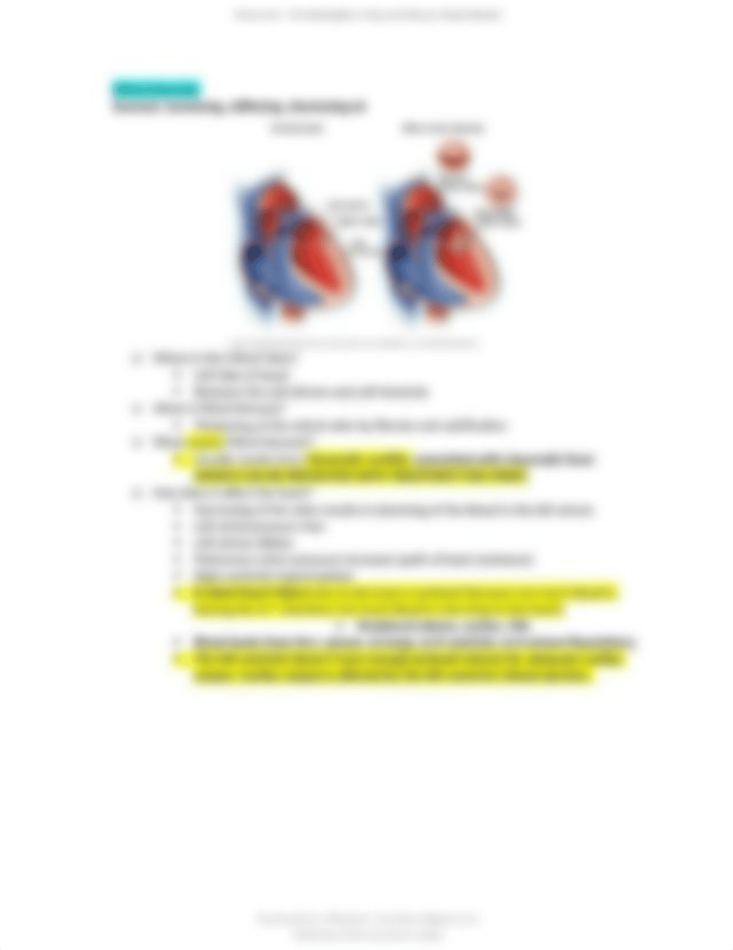 nur 203 cardio study guide.pdf_dul33bq0iep_page4