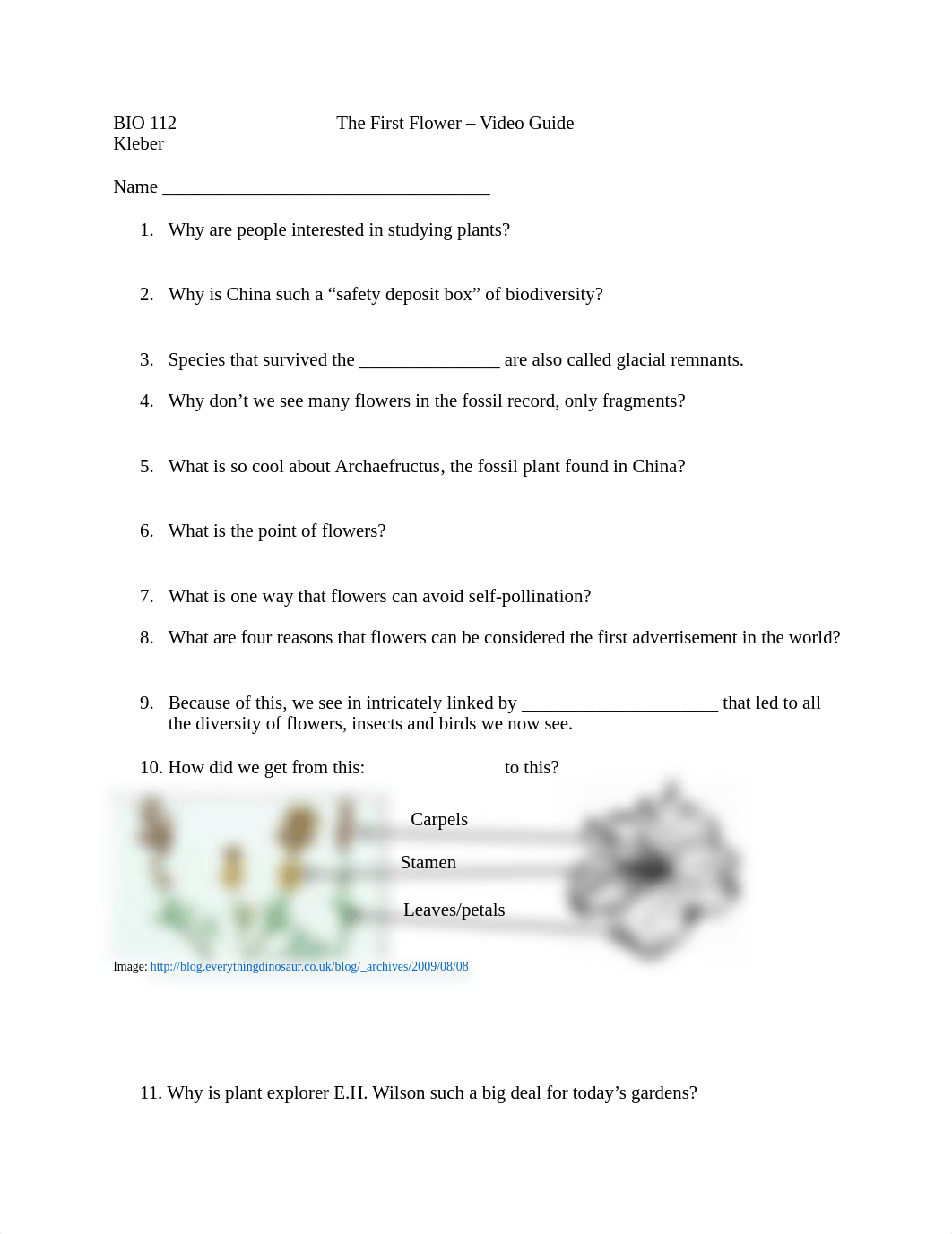 BIO 112 The First Flower Video Guide 180228.docx_dula1cao7kp_page1