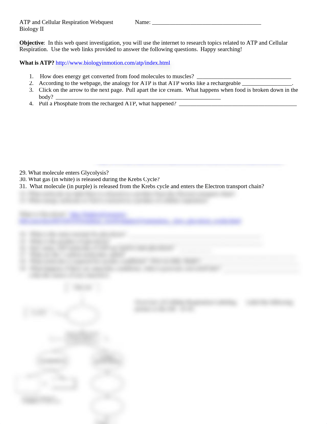 ATP Cell Respiration Web quest (1).docx_duletsff47c_page1