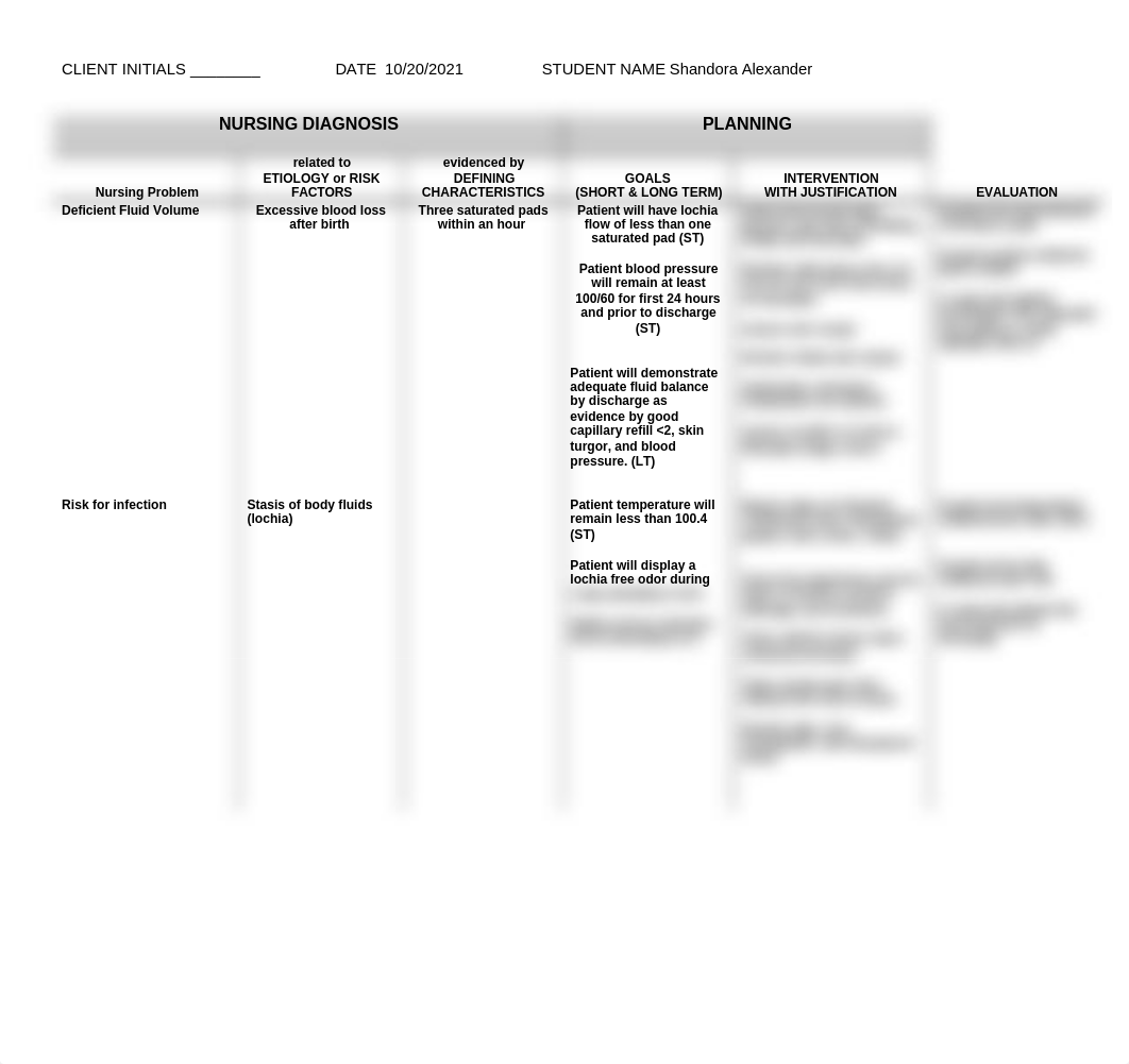 Care Plan Postpartum Hemorrhage.doc_duli3koclrk_page1