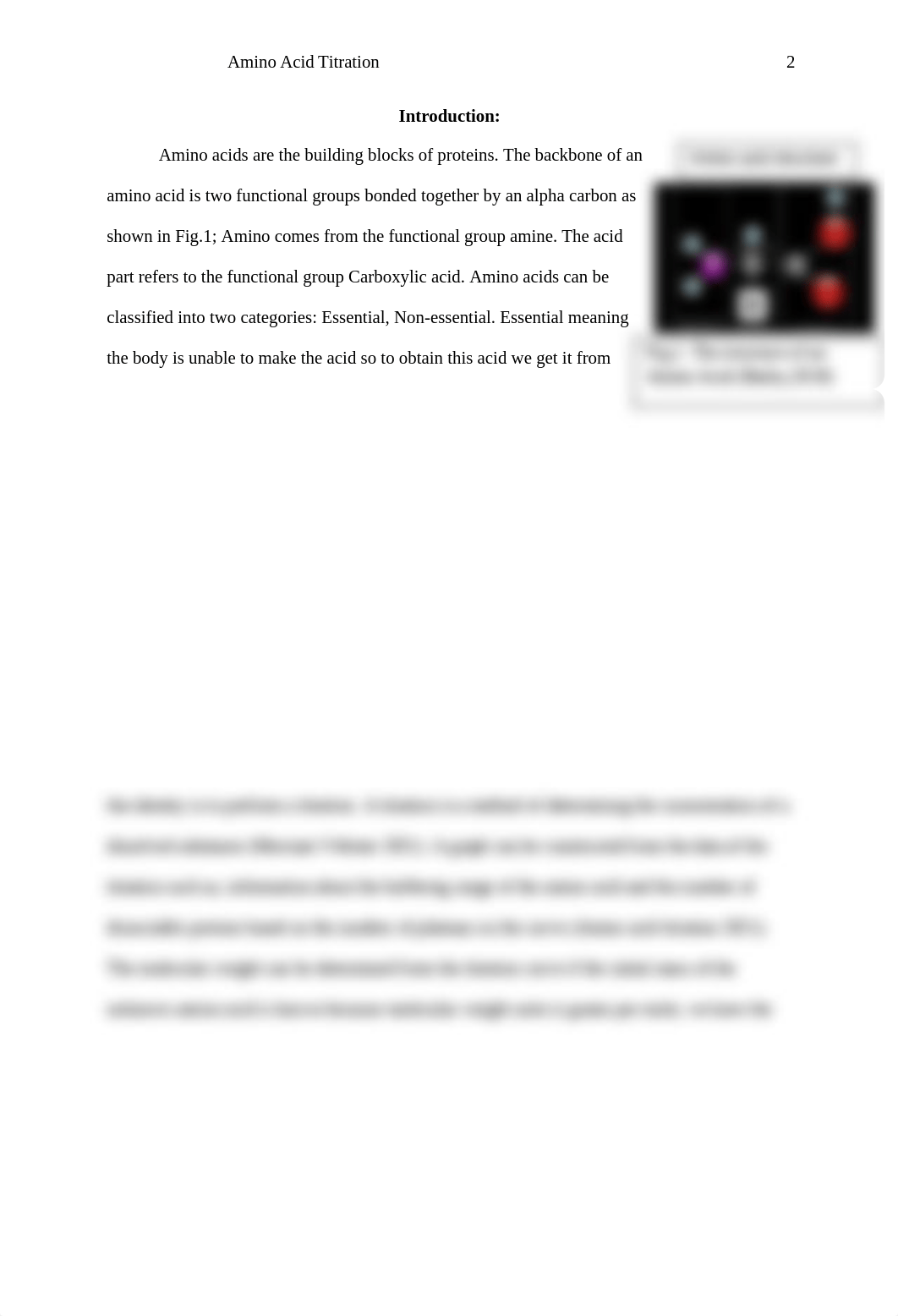 Amino Acid Titration report.docx_duljwkvszbl_page2