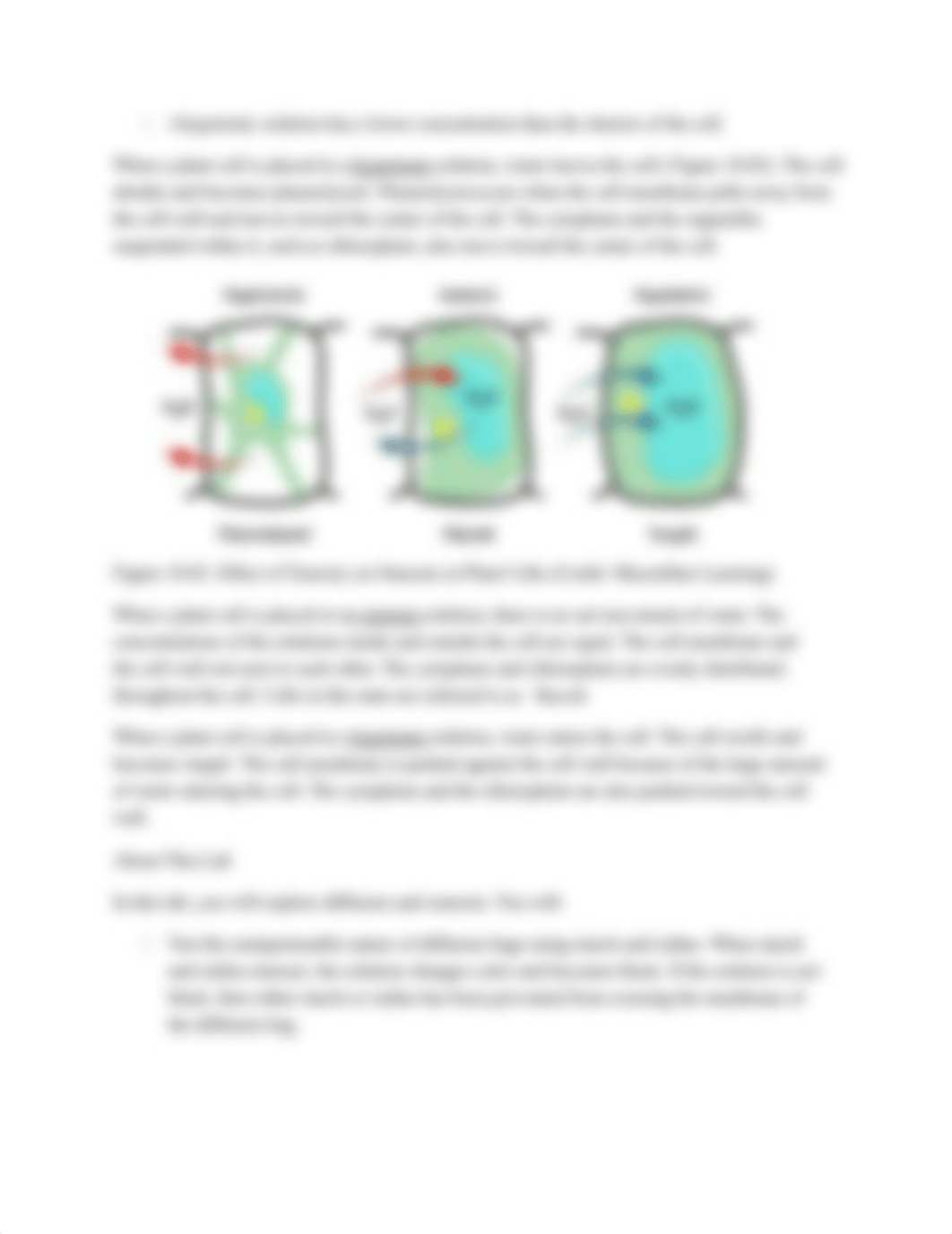 Lab 2 Osmosis Instructions.docx_dulkq438usq_page3