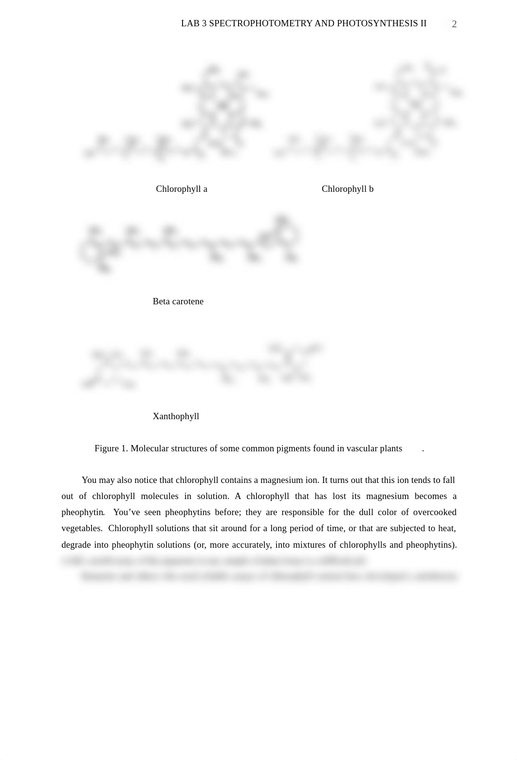 Lab3 Spectrophotometry PhotosynthesisII.pdf_dulq6emunkf_page2