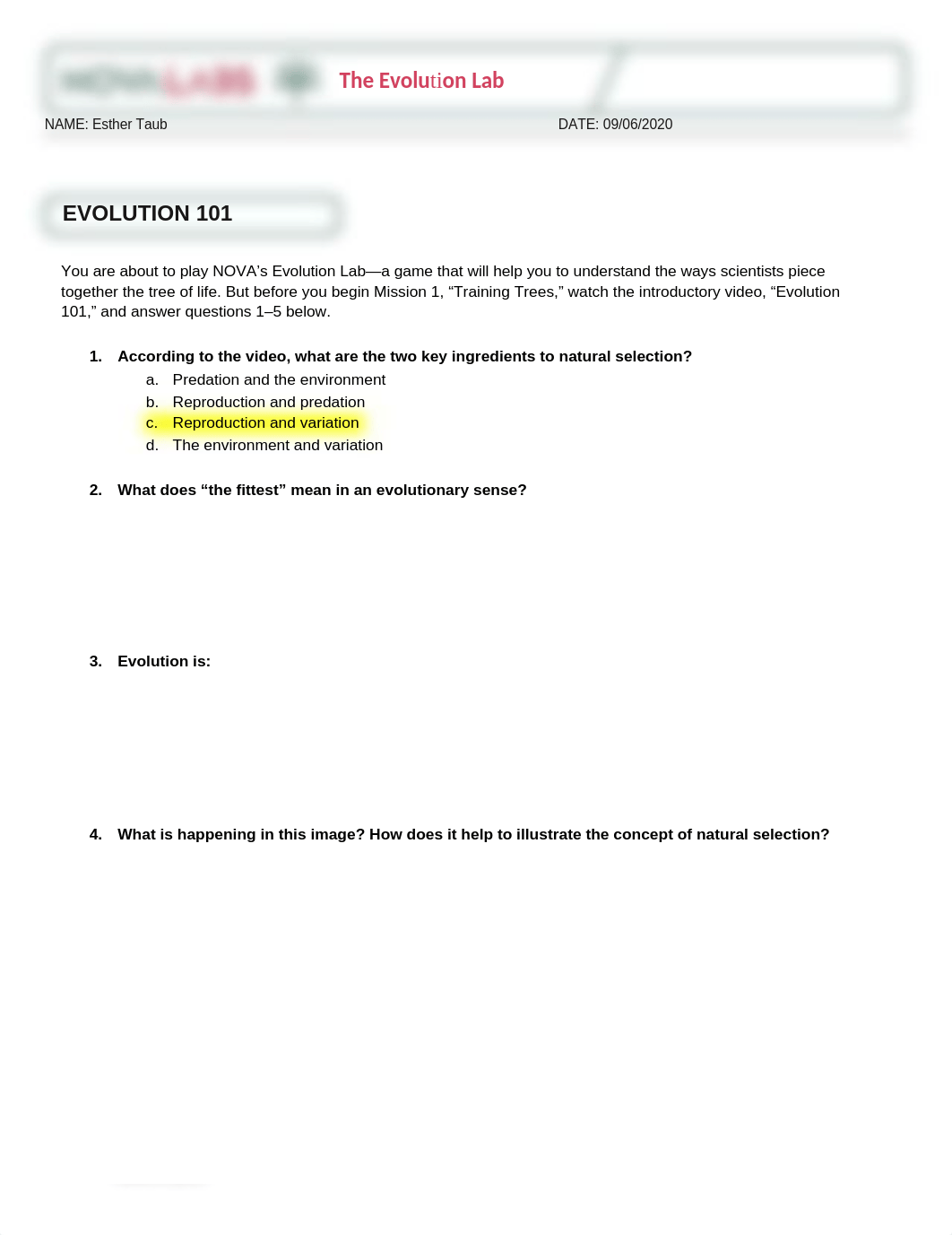NOVA evolution lab worksheet.docx_dulthxl2r8z_page1