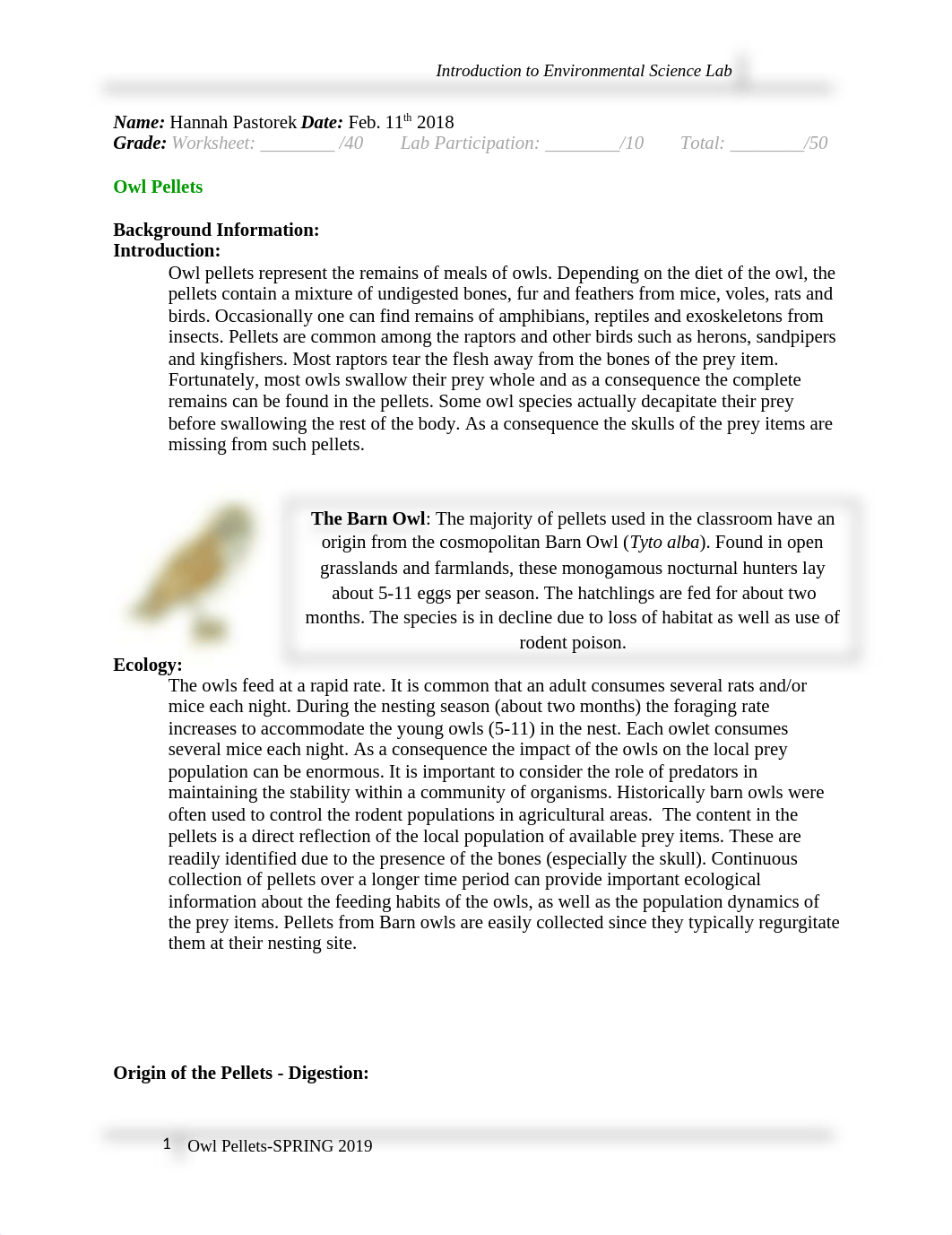 Lab 5.docx_dulwkak4vwe_page1